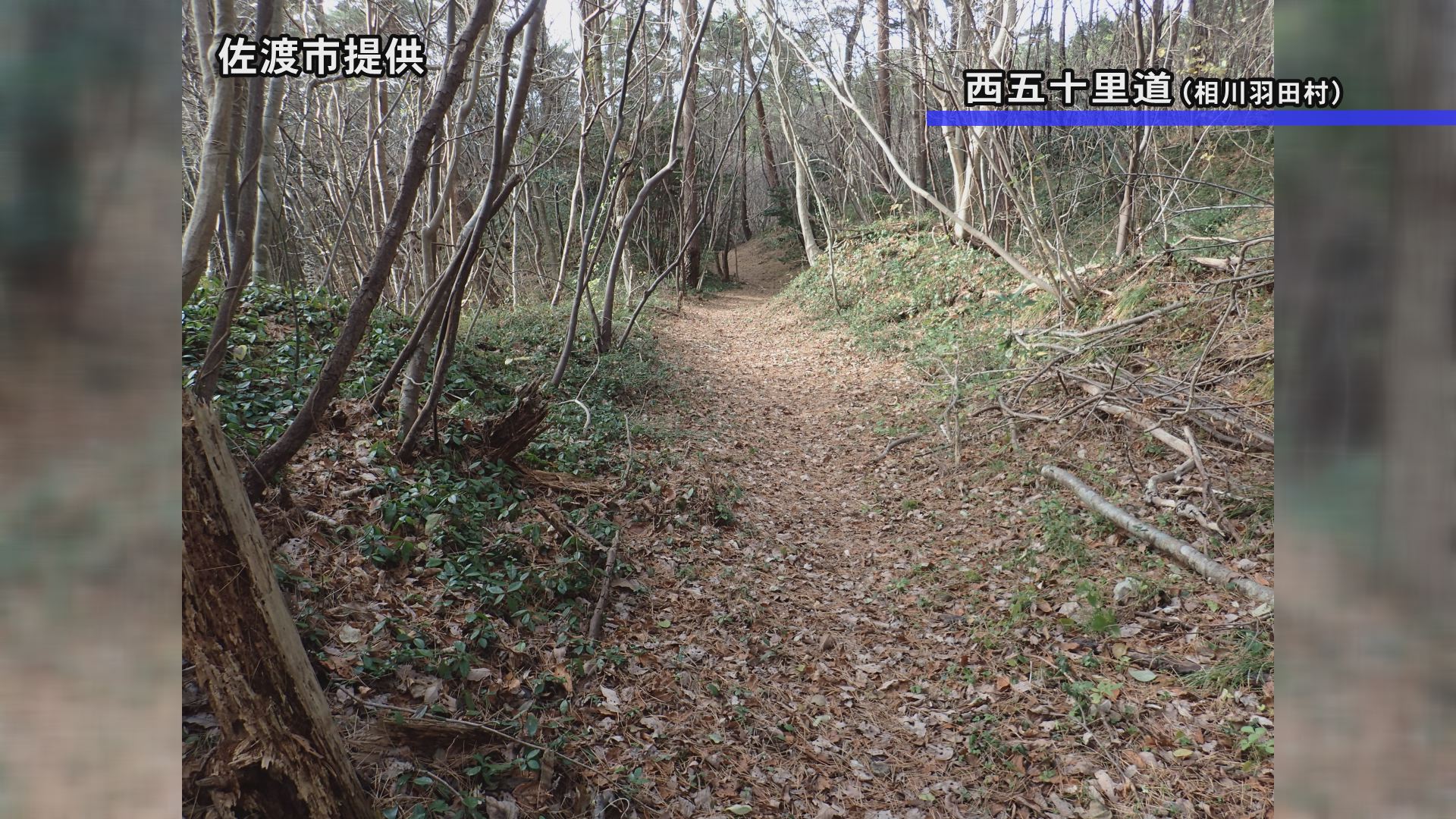 西五十里道・鶴子道　追加指定へ／佐渡テレビジョン