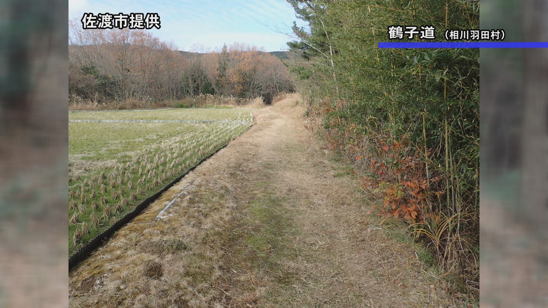 Still0618_00003