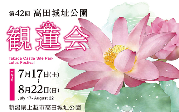 「観蓮会」 ポスター完成！北城高校前のハスが開花間近