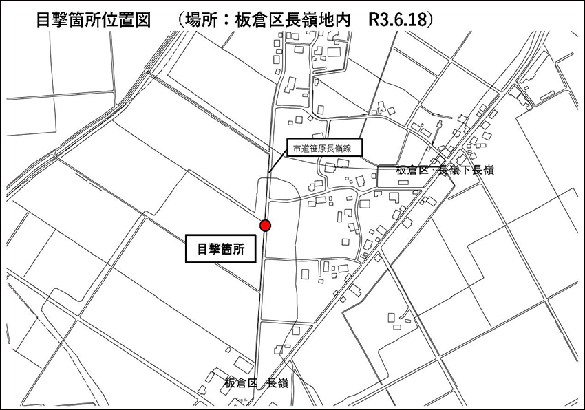 クマの目撃情報[上越市]
