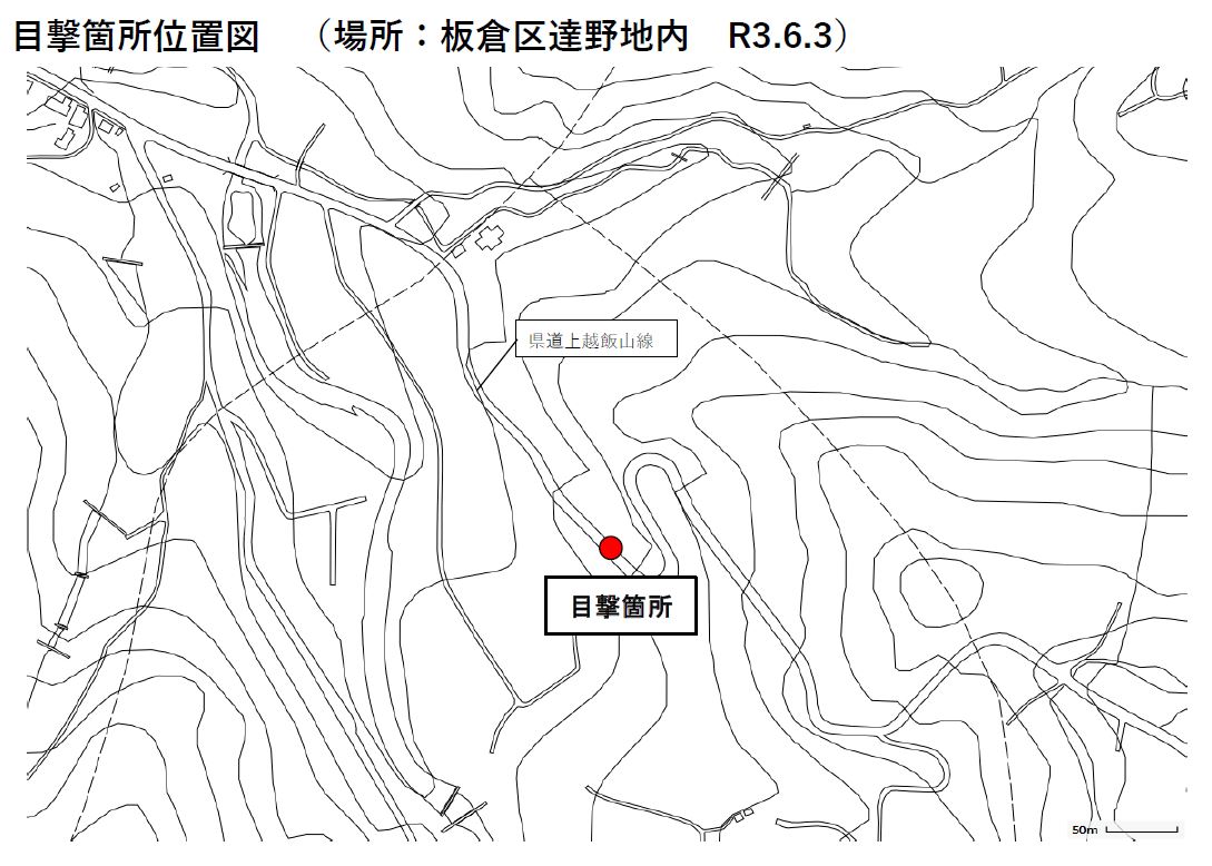 クマの目撃情報[上越市]