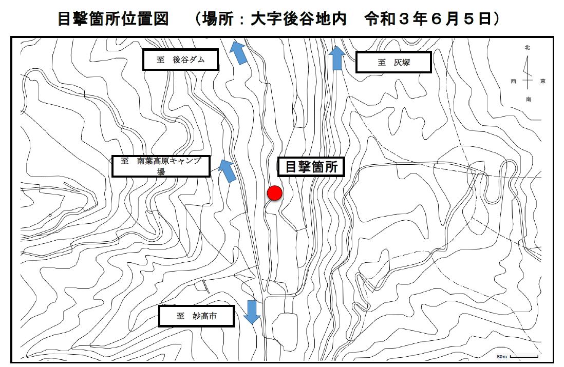 クマの目撃情報[上越市]
