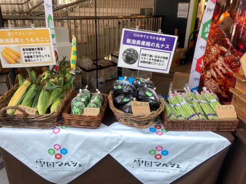 夏野菜＆夏の限定酒ずらり！雪国マルシェ 25日（日）まで開催中