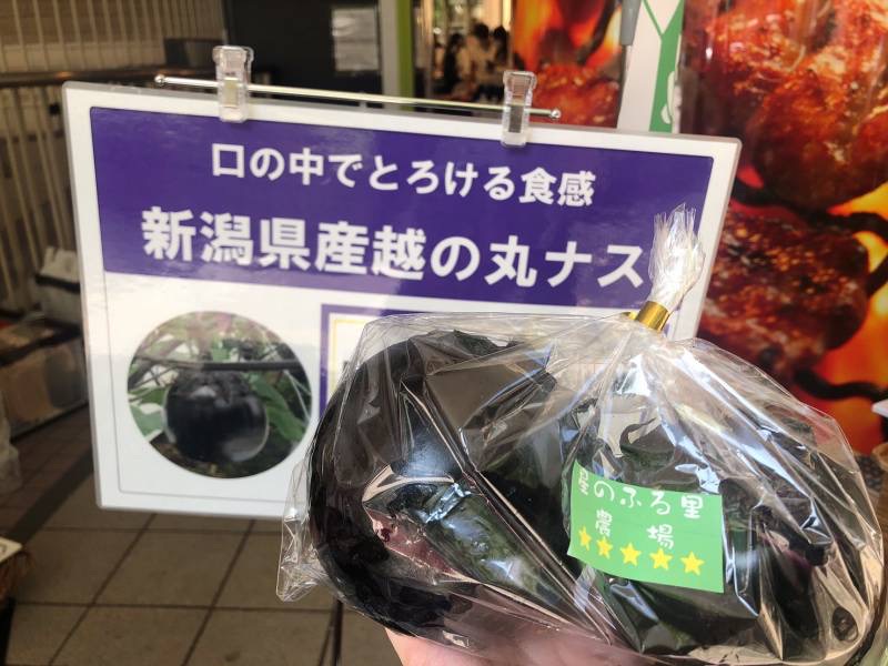 Image-1 (25)