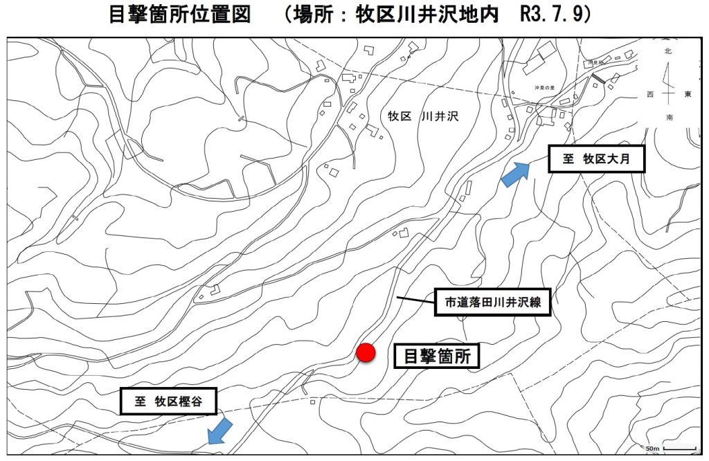 無sd題