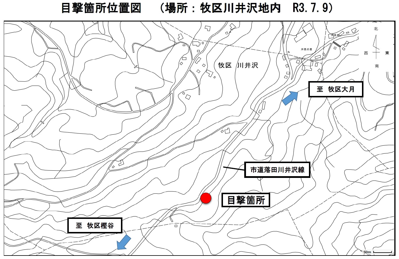 クマの目撃情報[上越市]