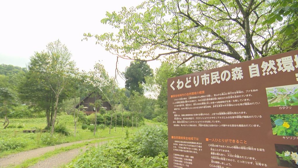 くわどり看板外観