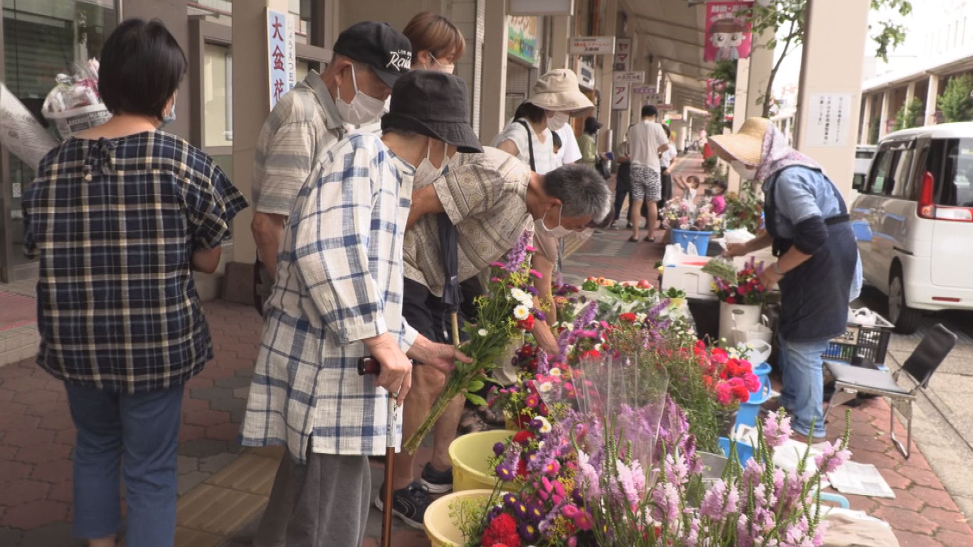 高田本町商店街「盆花市」 キクやトルコギキョウ並ぶ