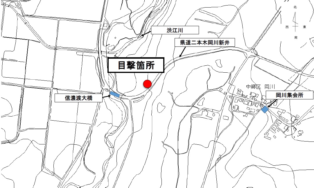 クマの目撃情報[上越市]