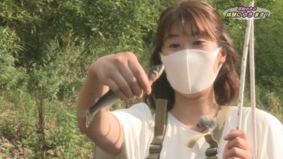 佐渡伝統のアユ漁を体験／佐渡テレビジョン