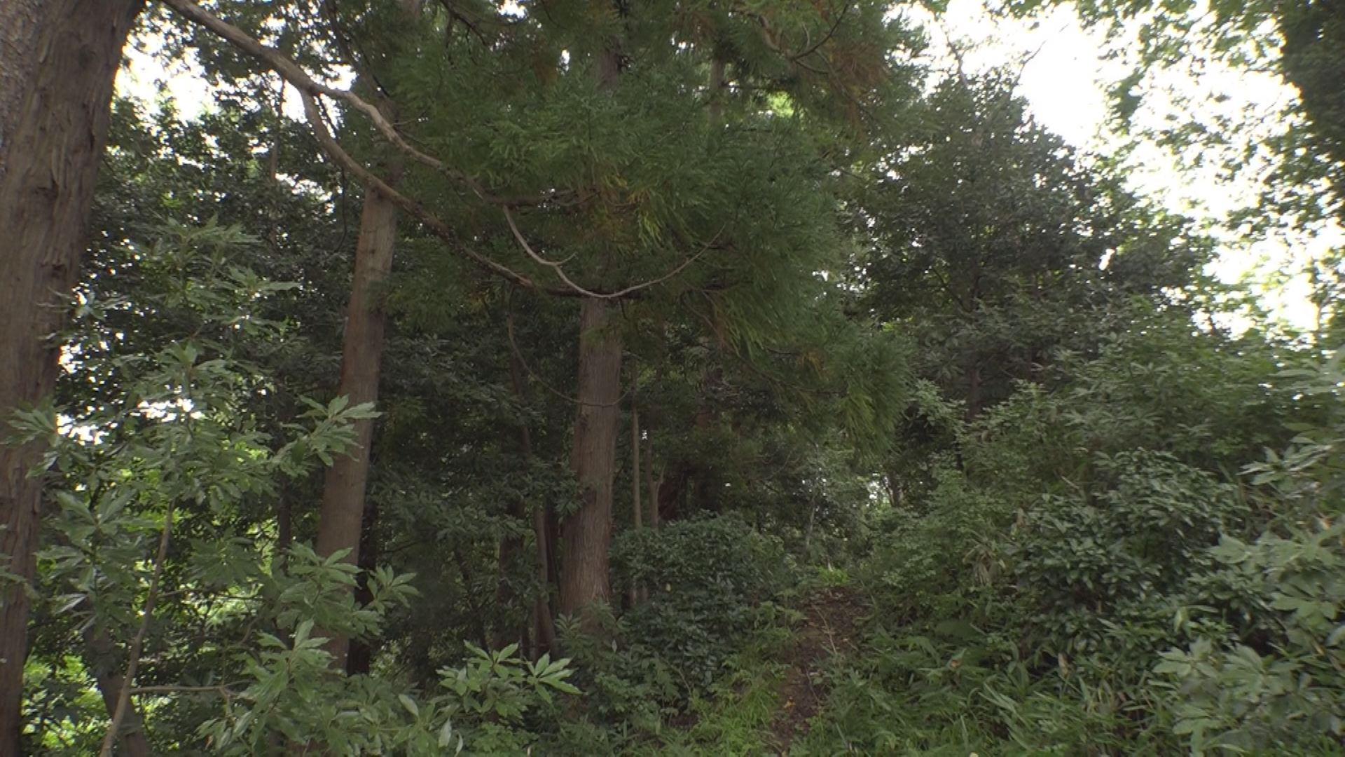 Still0926_00004 (1)