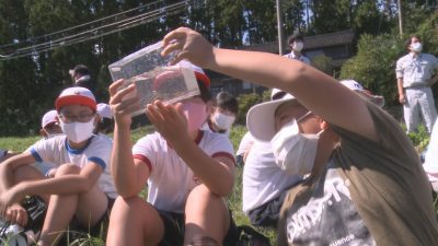 二宮小5年生 地元の川について学ぶ／佐渡テレビジョン