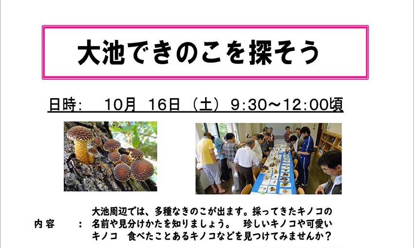 キノコの名前や見分け方を学ぶ体験会！「大池できのこを探そう」参加者募集