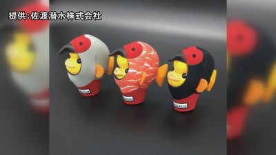 コロナ収束を願い佐渡潜水がコブダイマスコットを市に寄贈
