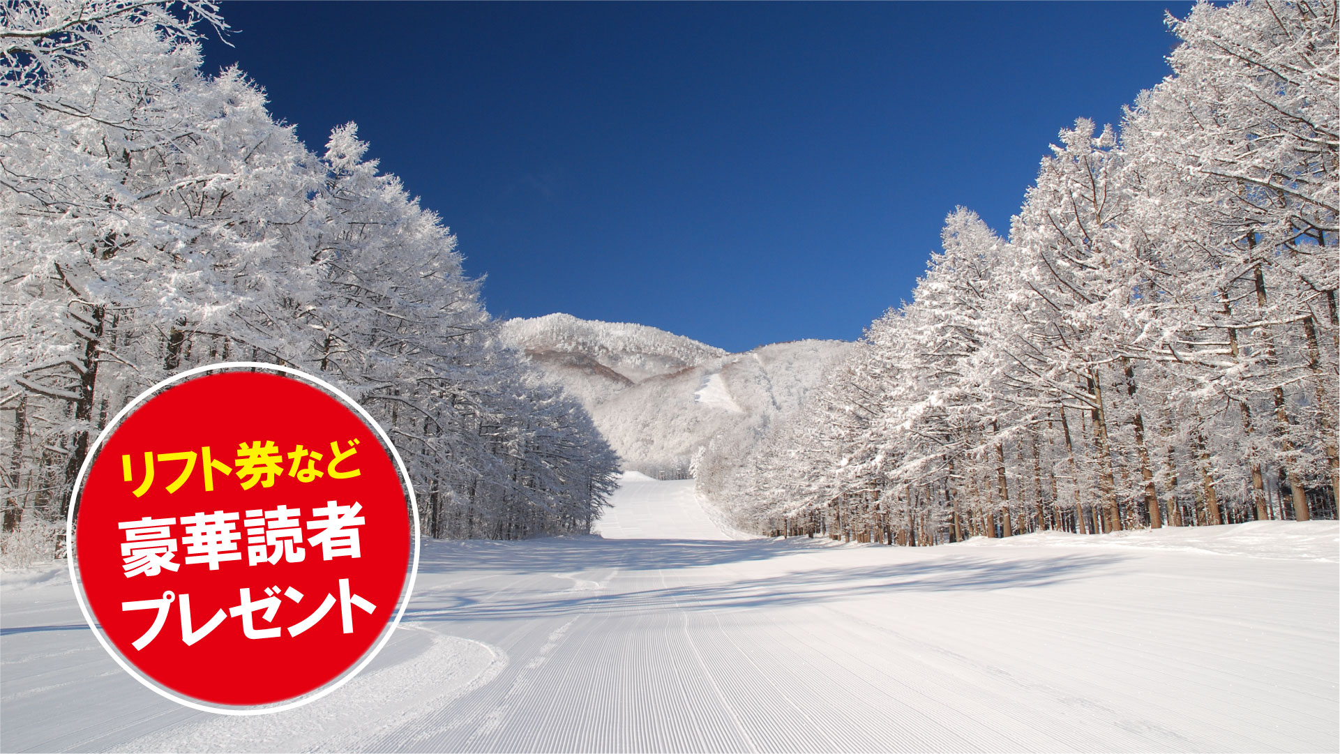 ＜新潟上越スキー場ガイド2021-2022＞ 黒姫高原スノーパーク（信濃町）/vol.1