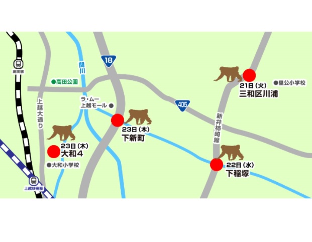 上越市内でサルの目撃相次ぐ  見つけたらすぐに連絡を