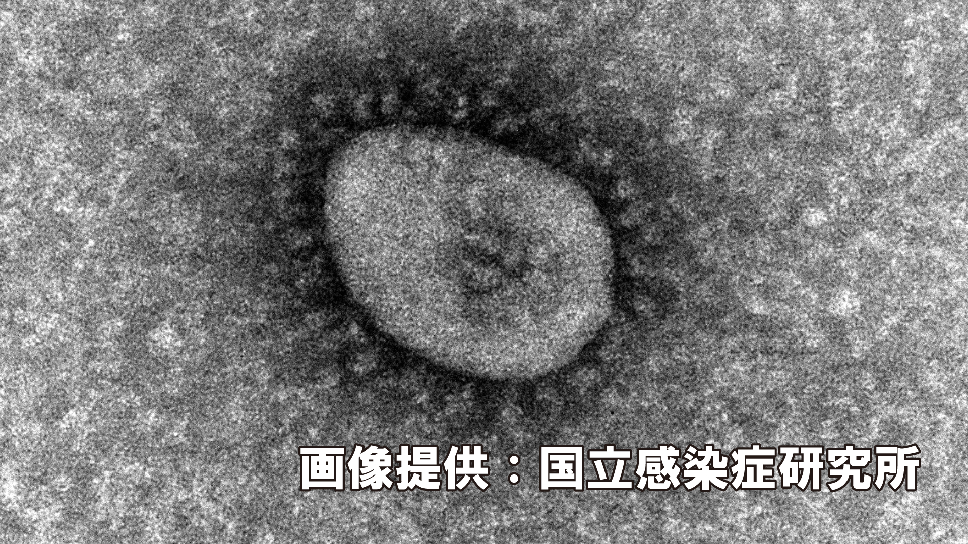 新型コロナ 西城町2丁目の特別養護老人ホームの職員1人が感染