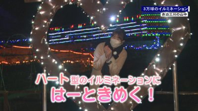 赤泊三川の個人宅に3万球のイルミネーション！／佐渡テレビジョン