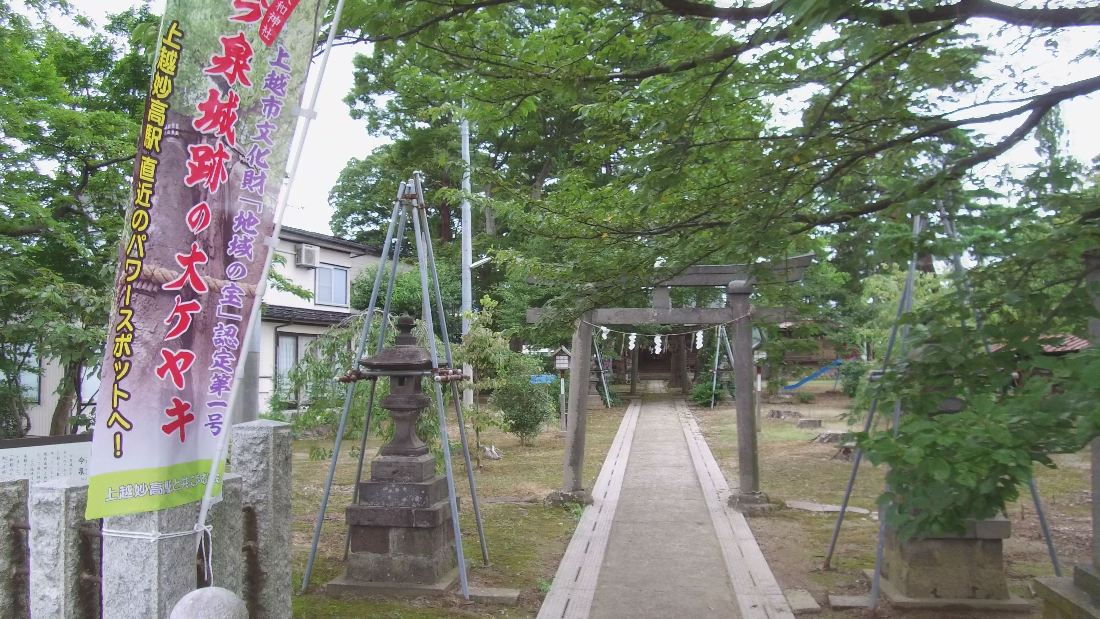 【動画】街の変化を実感 茶屋町～大和神社の大ケヤキへサイクリング
