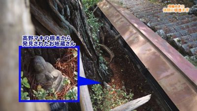 Still1222_00010