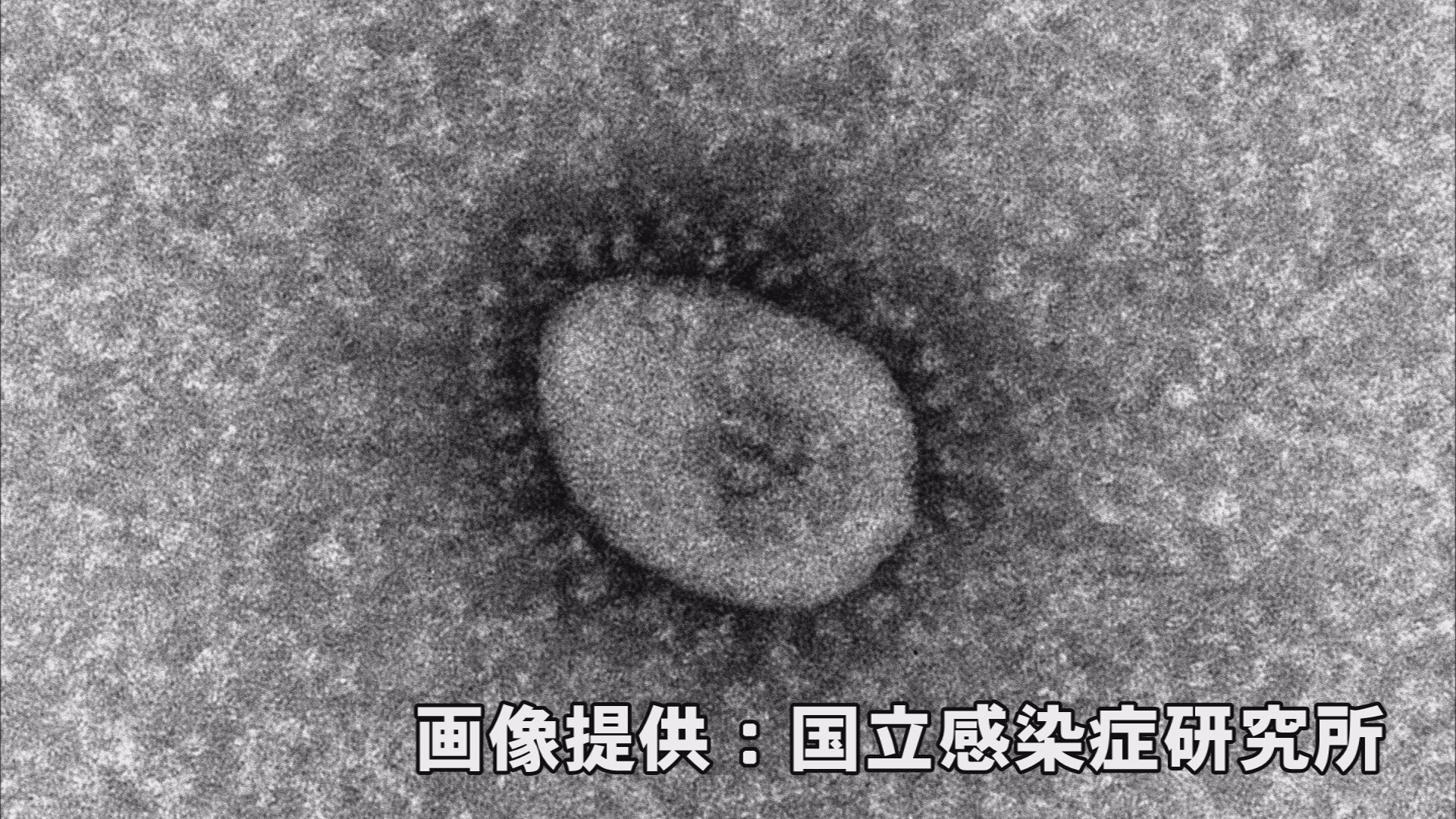 新型コロナ 頸城区「大瀁保育園」の園児1人が感染 一部園児は希望館で代替保育