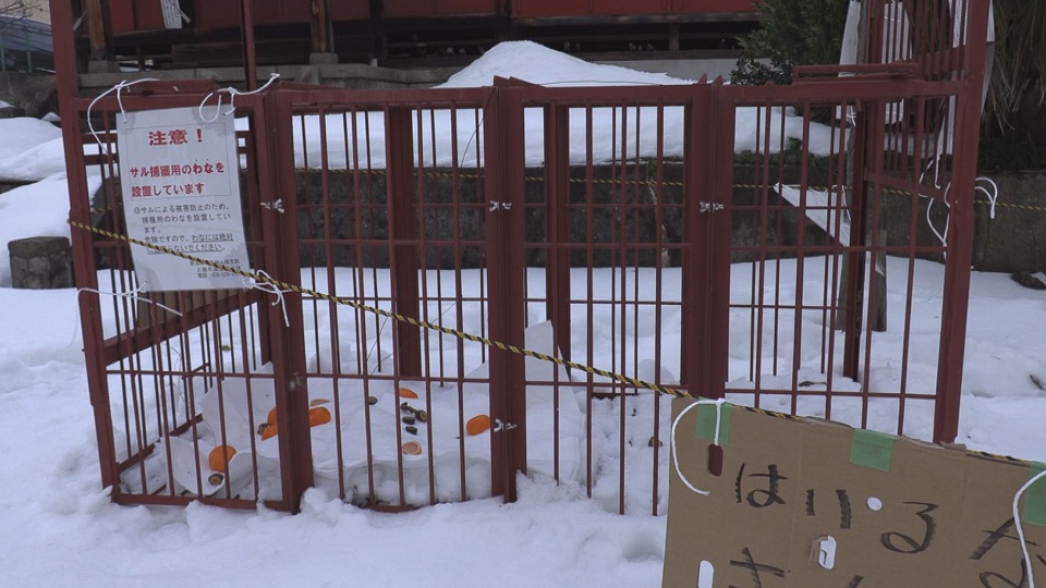 ”サル”大手町周辺に居座る 捕獲へ向けて罠も設置