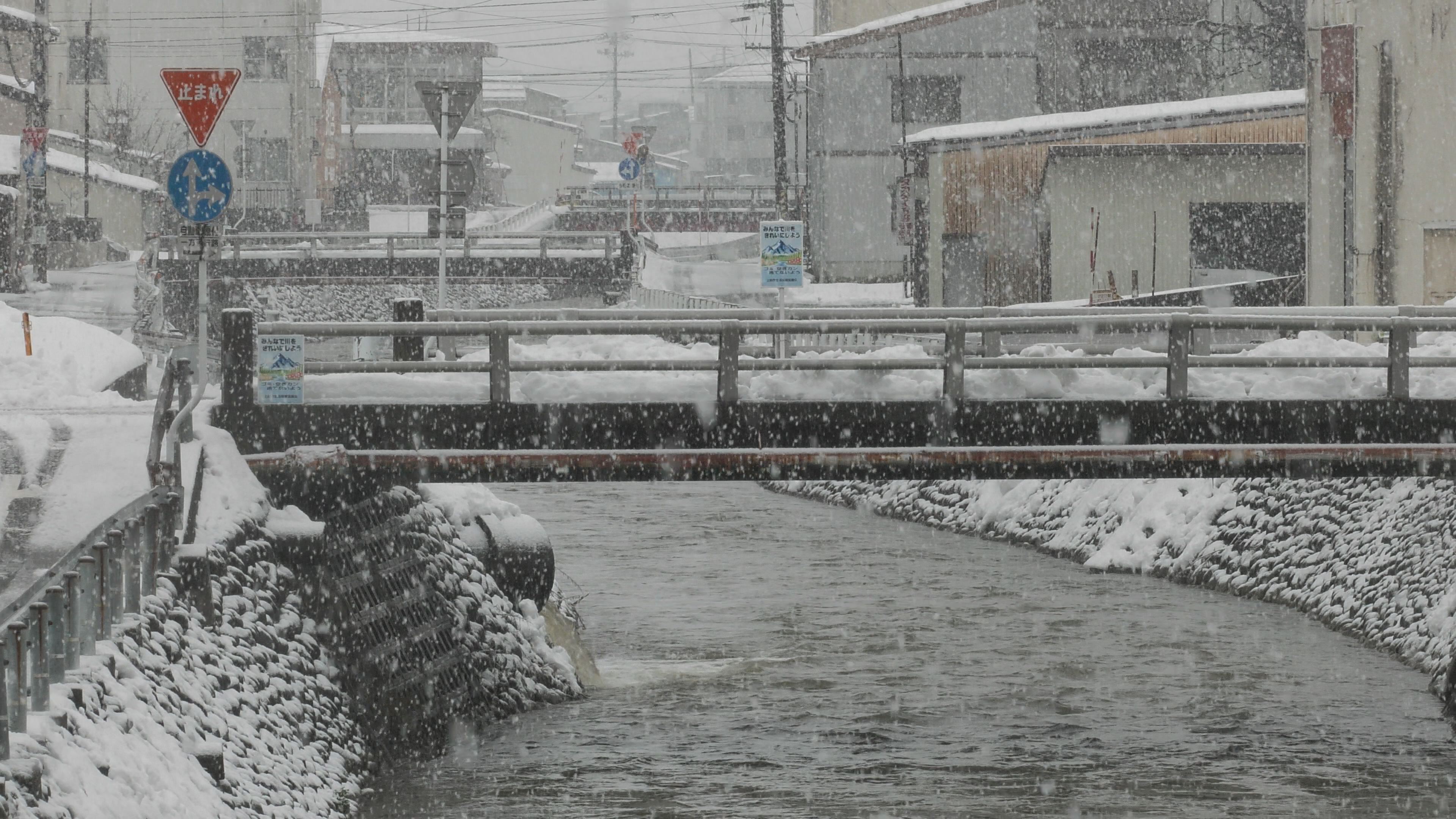 【動画】雪の高田 儀明川散歩（高田橋～平成橋）　