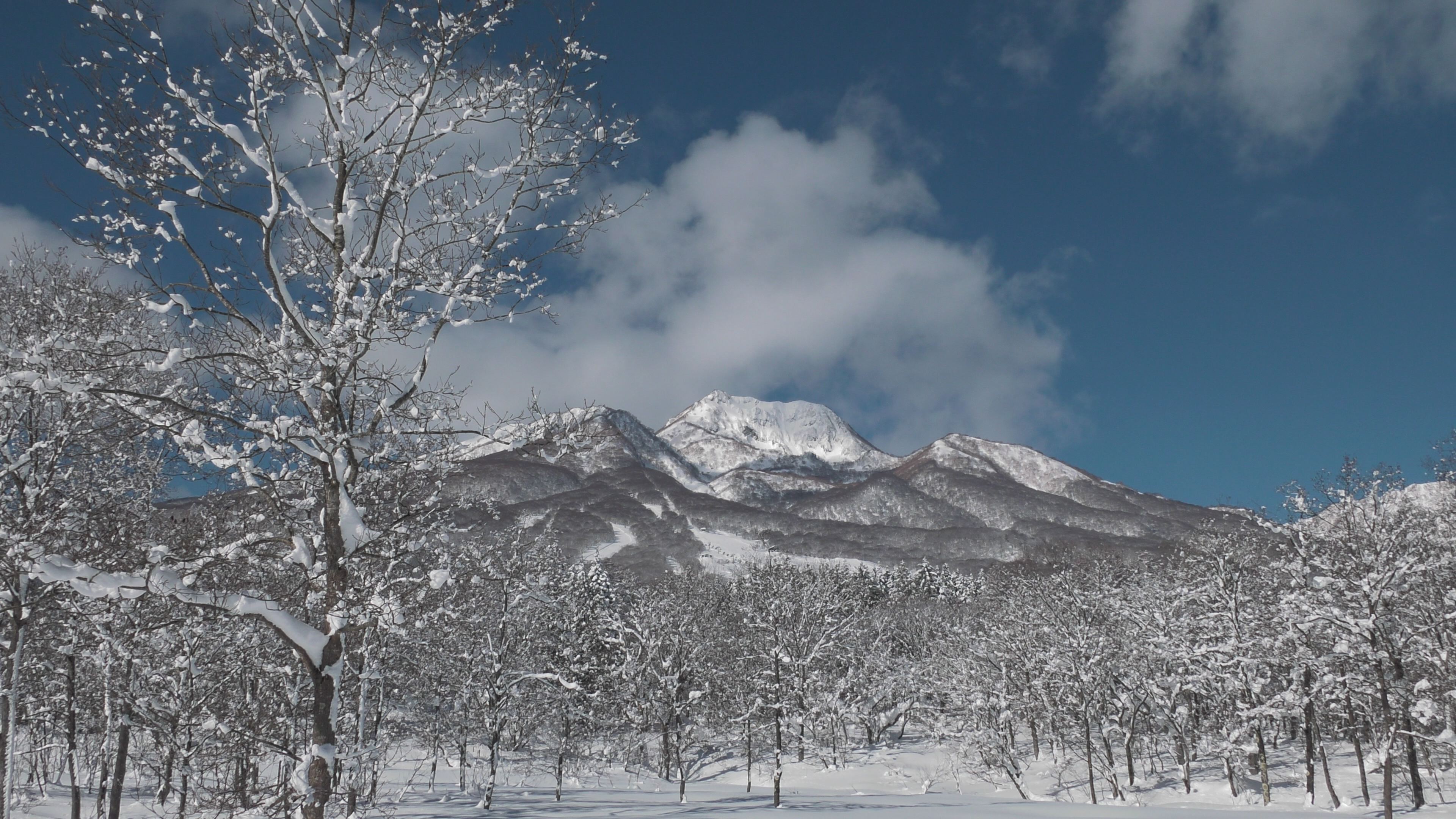 【動画】冬晴れに白く輝く妙高山