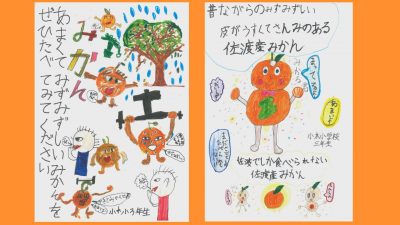 地元児童が佐渡産みかんをPR／佐渡テレビジョン