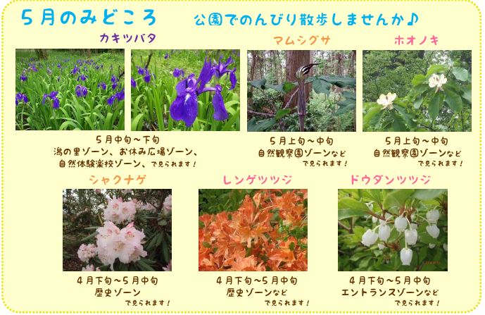 キャプチャ
