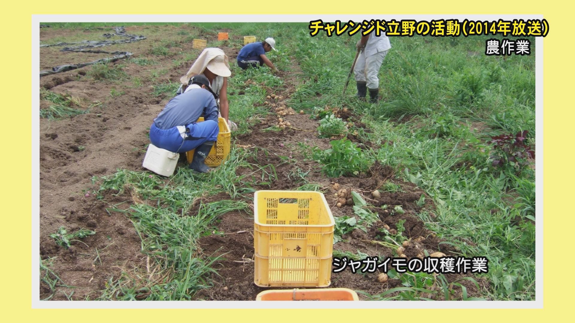 農福連携！佐渡市のチャレンジド立野「ノウフク・アワード」受賞／佐渡テレビジョン