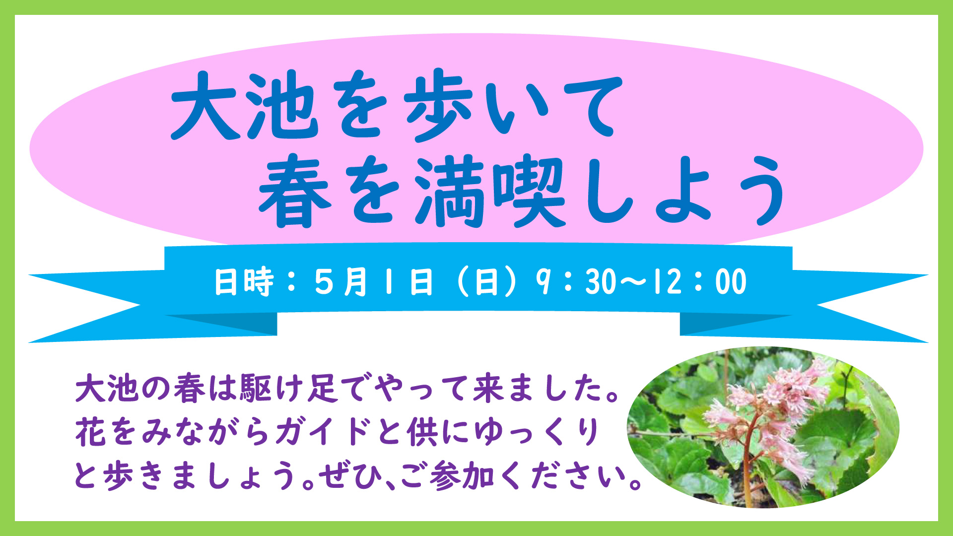 頸城区 大池を歩いて春を満喫しよう！5月1日(日) 参加者募集