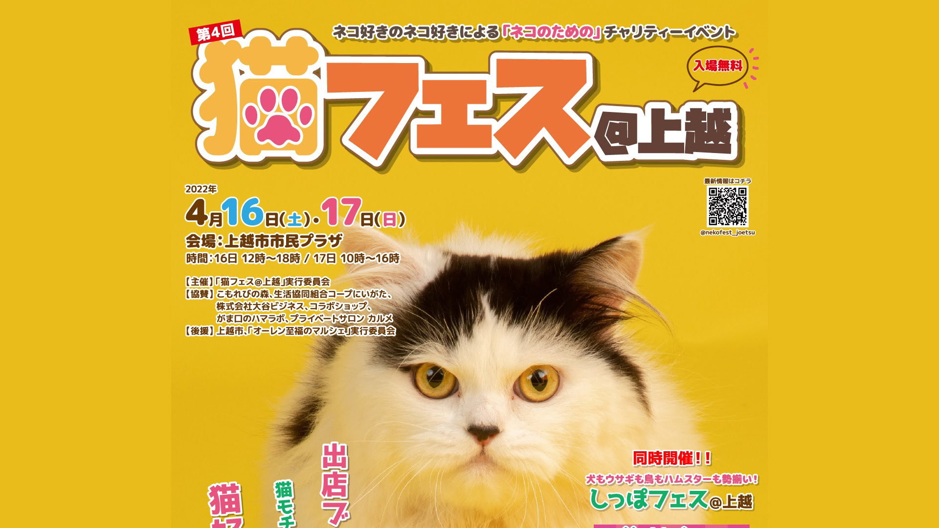 ネコのためのチャリティーイベント「猫フェス＠上越」 16日(土)・17(日)開催！