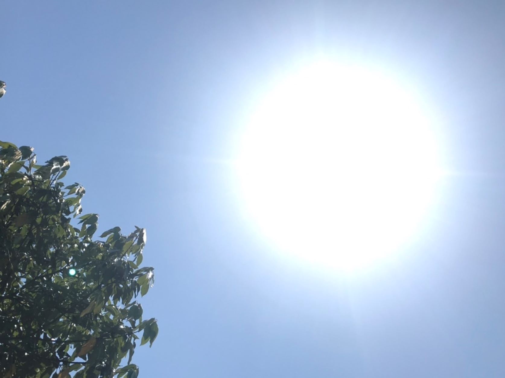 上越市高田は真夏日 今年最高の30度超え