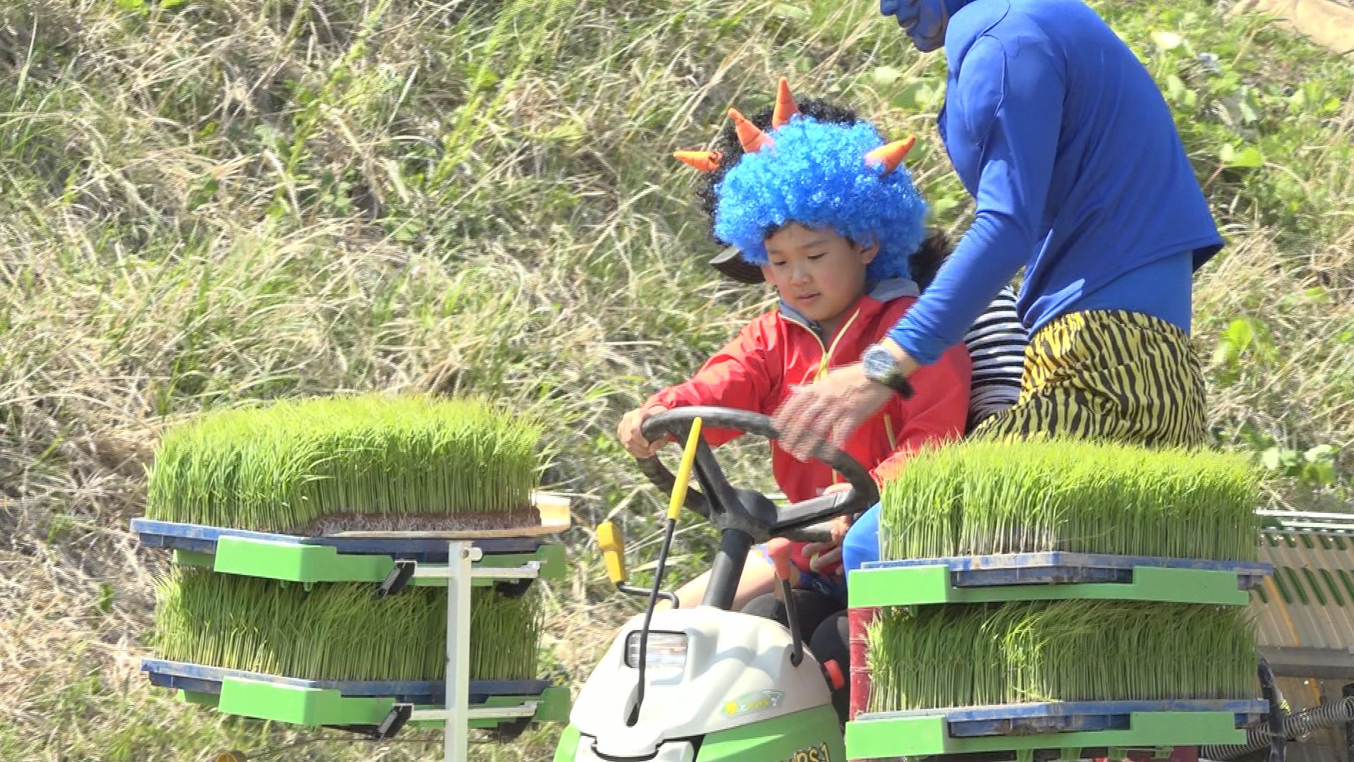 民話になぞらえた「鬼の田植え」／佐渡テレビジョン