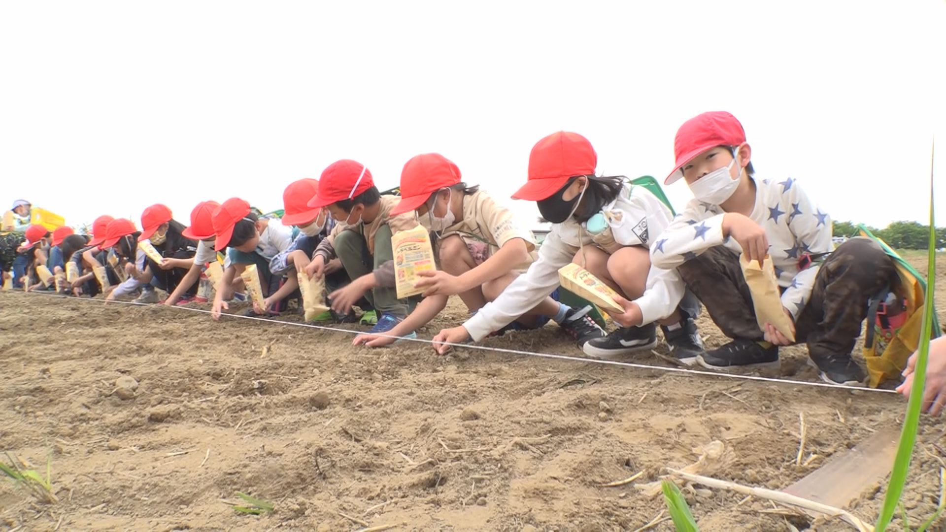 春日新田小4年生  関川河川敷にネモフィラの種まき 7月下旬には満開