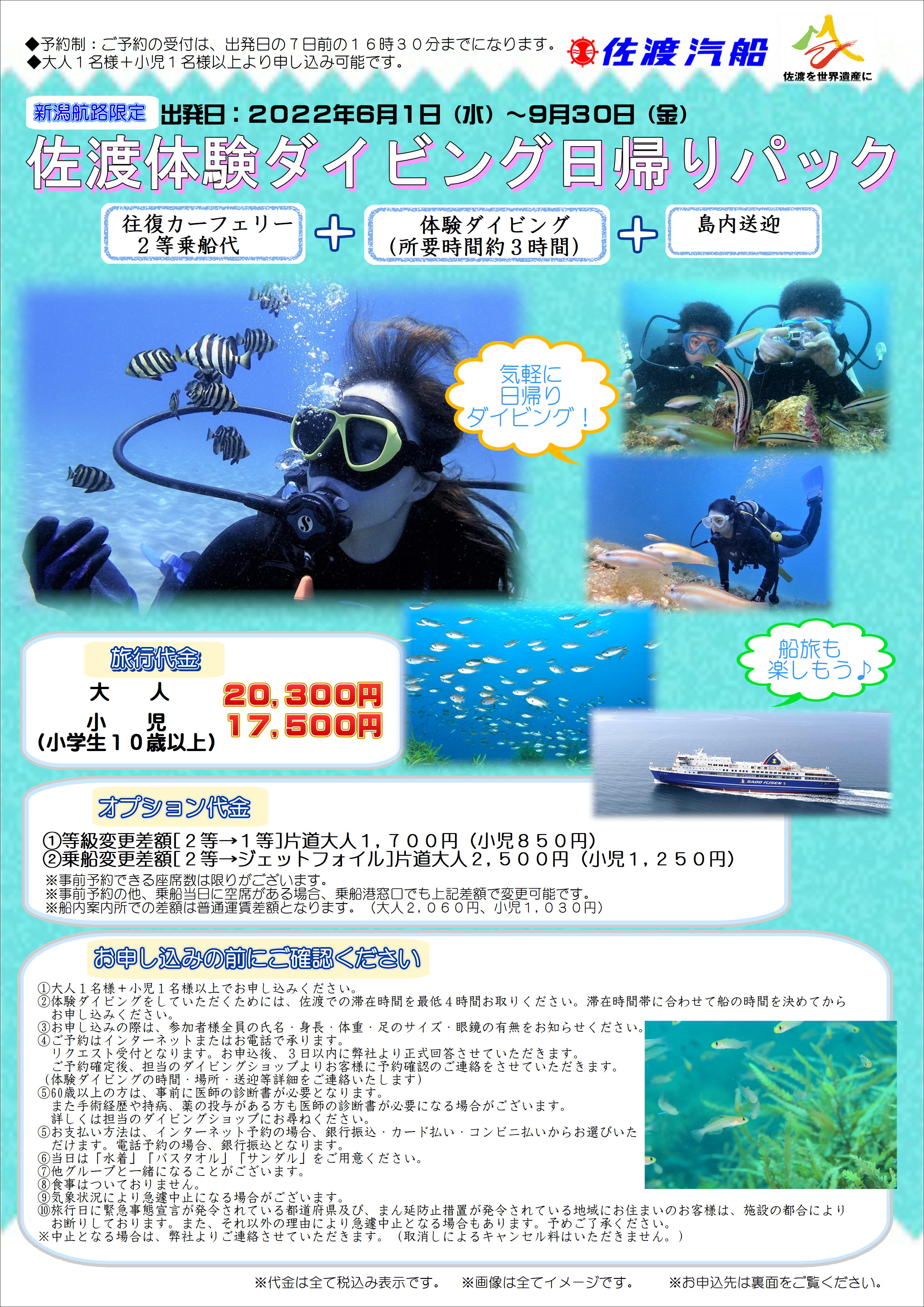 ダイビングパックチラシ