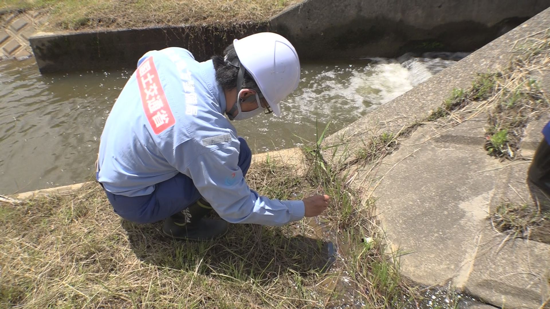 梅雨を前に関川下流で河川点検