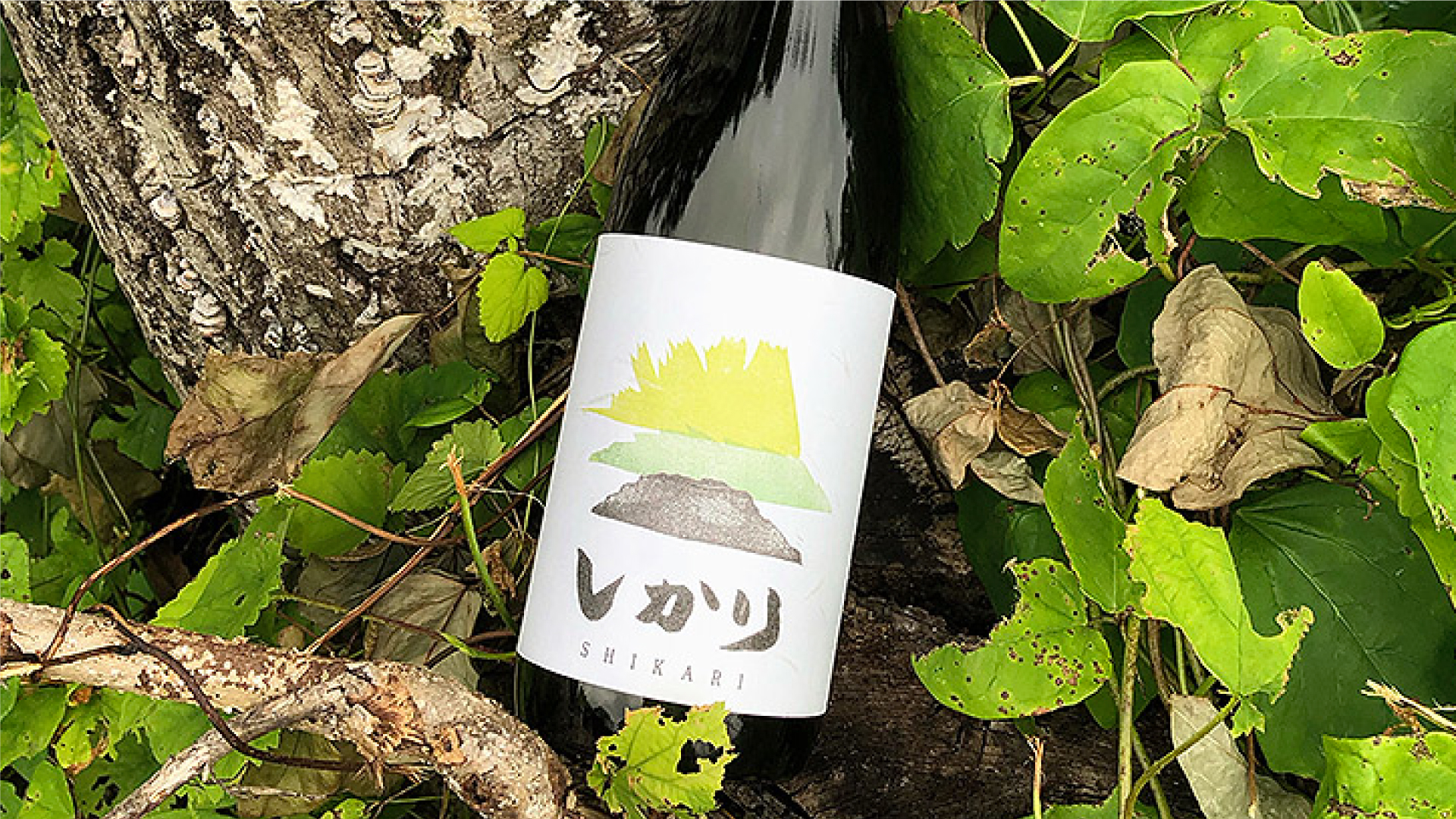酒のカワカミ限定 オリジナル日本酒「然り」7月1日発売