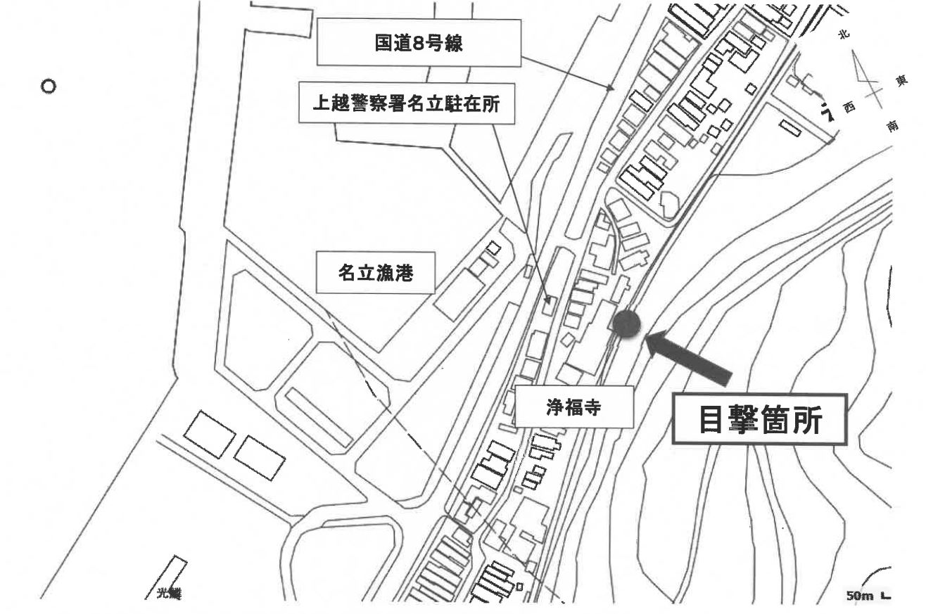 クマの目撃情報[上越市]