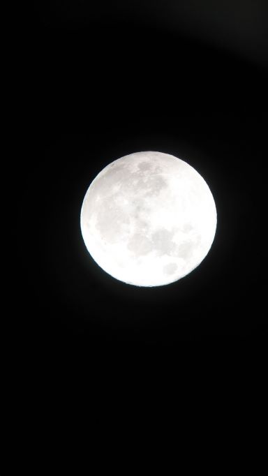 9.10中秋の名月