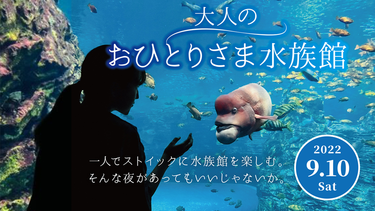 大人1人で夜の水族館を満喫！好評につき10日（土）も開催！