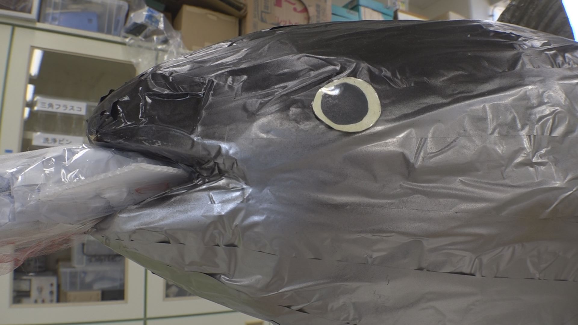 力作ぞろり！夏休みの工作や自由研究の作品展