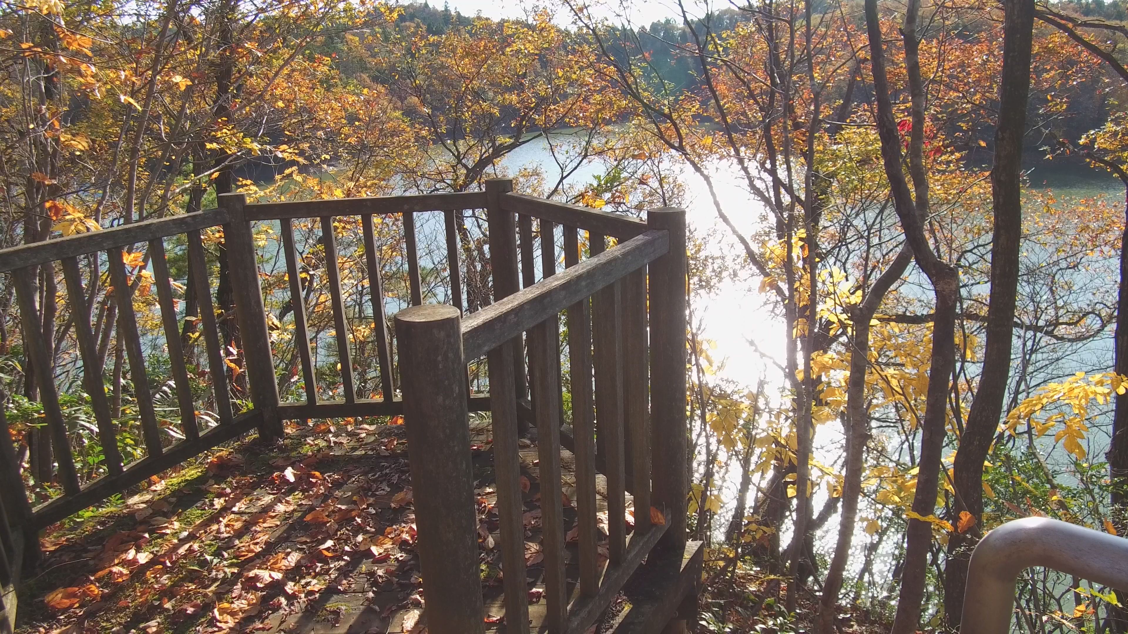 【動画】頸城区 茶臼山城跡公園 秋の気配の中で