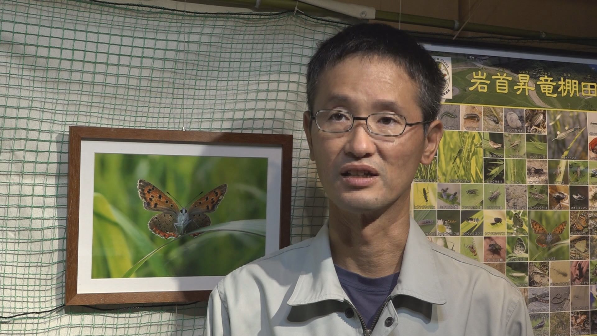 佐渡の豊かな田んぼの生き物映した写真展／佐渡テレビジョン