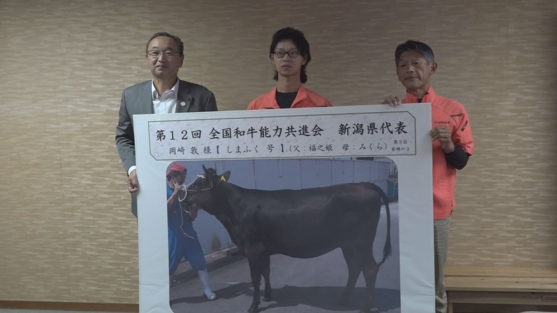 佐渡の牛が全国和牛能力共進会に出場／佐渡テレビジョン