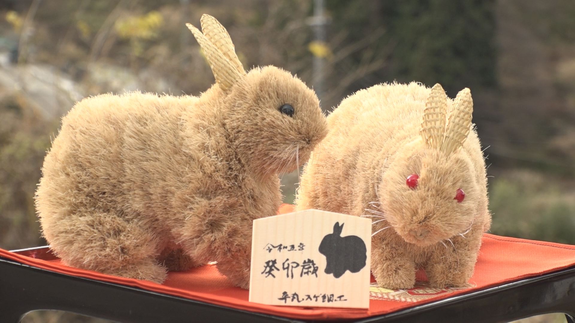 来年はぴょんぴょん飛躍！妙高市平丸地区でスゲ細工づくり