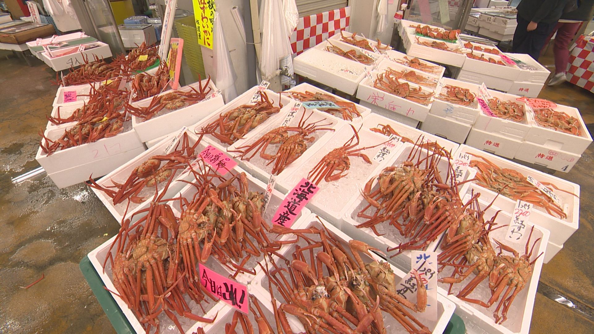 魚勢カニ