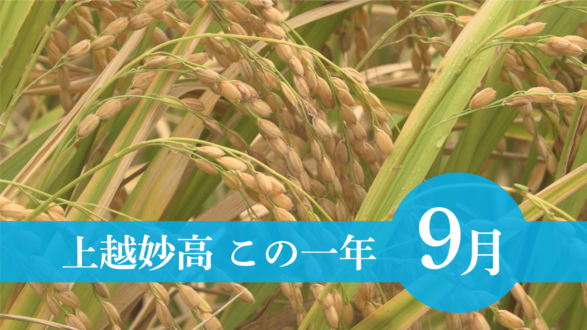 ＜上越妙高この一年＞9月…フェーン現象、佐渡汽船カーフェリー購入、入村市長引退
