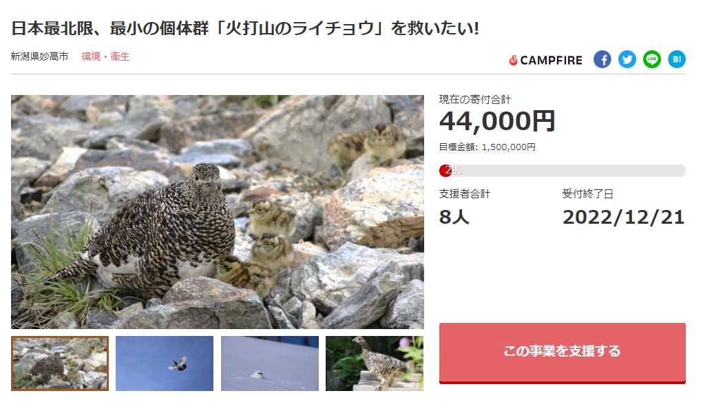 火打山のライチョウを救いたい！ 妙高市がクラウドファンディング